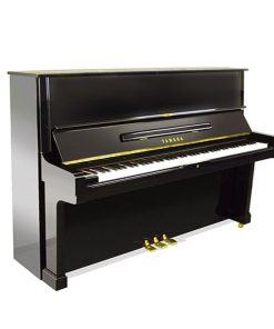 Yamaha U2G