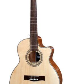 Guitar Acoustic Station HD-119