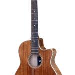 Guitar Acoustic Station HD-179_FA