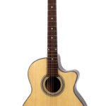 Guitar Acoustic EKO NXT OM EQ